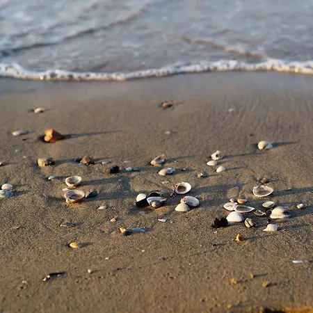 Coastal Seaside Calm With Balcony 比比翁